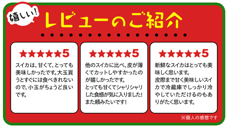 小玉 スイカ スウィートキッズ 4玉 2026年 [CQ008sa]