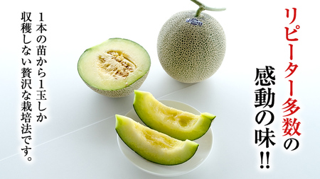 【2026年8月下旬発送開始】 季節 限定 ！ 甘さ満点 特大 アールスメロン 1個 [BC005sa]