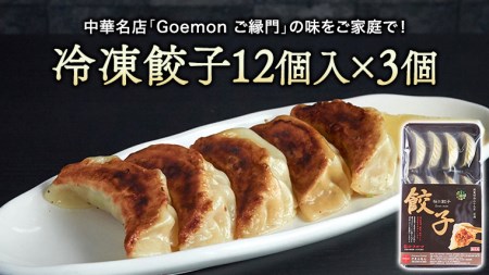 Goenmonの冷凍生餃子 本格 中華 冷凍餃子 生餃子 餃子 ギョウザ 焼餃子 セット お取り寄せ 手包み おつまみ おかず [BK006sa]