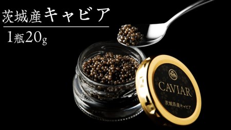 つくばスタージョン キャビア 20g×1 キャビア 高級食材 記念日 つくばスタージョン キャビア 20g×1 キャビア 高級食材 記念日