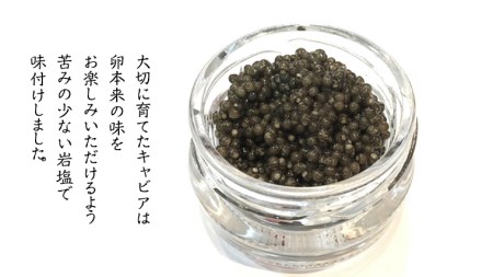 【年内お届けは12/16受付分まで】つくばスタージョン キャビア 20ｇ×1 [AI005sa]