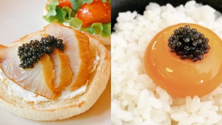 【年内お届けは12/16受付分まで】つくばスタージョン キャビア 20ｇ×1 [AI005sa]