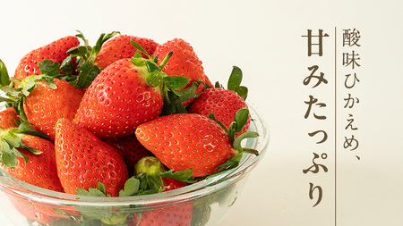 【 2026年1月上旬発送開始 】 完熟 やよいひめ 260g×4パック [BC007sa]