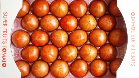 【2024年2月上旬発送開始】 スーパーフルーツトマト 大箱 約2.6kg × 3箱 （20～35玉/1箱） 糖度9度以上 フルーツトマト トマト とまと 野菜 [BC010sa]