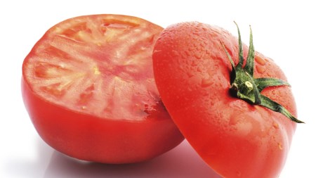 【2024年2月上旬発送開始】 スーパーフルーツトマト 中箱 約1.2kg × 2箱 （12～18玉/1箱） 糖度9度以上 フルーツトマト トマト とまと 野菜 [BC014sa]