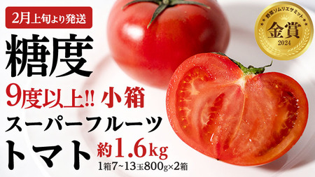 《 2026年収穫分 先行予約 》 糖度9度以上 スーパーフルーツトマト 小箱 約800g × 2箱  (7～13玉/1箱)  [BC016sa]