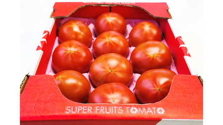 【2024年2月上旬発送開始】 スーパーフルーツトマト 小箱 約800g（7～13玉) × 2箱 糖度9度以上 フルーツトマト トマト とまと 野菜 [BC016sa]
