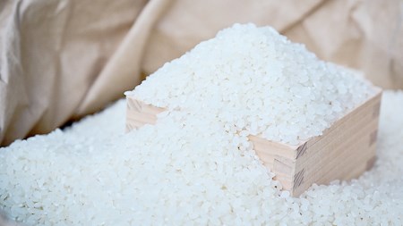 令和7年産 筑波山麓 ・ 羽鳥の沢水米 コシヒカリ 10kg [BN001sa]