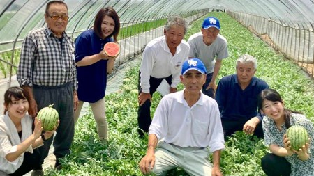 こだまスイカ　愛娘（１玉） 【2026年5月中旬より発送開始】  [BC031sa]