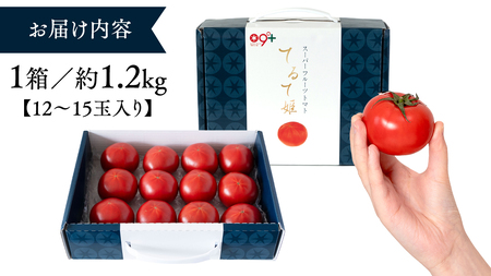 糖度9度以上 トマト 【 2025年収穫分 先行予約 】 スーパーフルーツトマト てるて姫 中箱 約1.2kg × 1箱 【12～15玉/1箱】 フルーツトマト ブランドトマト とまと てるて姫 野菜 人気 金賞 受賞 ギフト 贈答 茨城県 桜川市 【2025年2月上旬発送開始】[BC033sa]