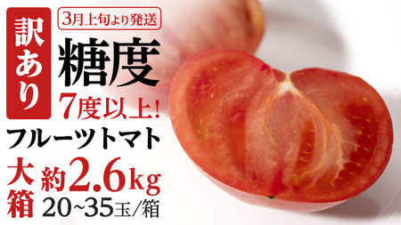 【2024年3月上旬発送開始】《訳あり》 フルーツトマト 大箱 約2.6kg（20～35玉）×1箱  糖度7度以上 トマト とまと 野菜 [BC040sa]