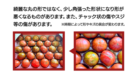 【2024年3月上旬発送開始】《訳あり》 フルーツトマト 大箱 約2.6kg（20～35玉）×1箱  糖度7度以上 トマト とまと 野菜 [BC040sa]