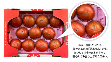 【2024年3月上旬発送開始】《訳あり》 スーパーフルーツトマト 小箱 約800g（7～20玉）× 1箱 糖度9度以上 トマト とまと 野菜 [BC042sa]