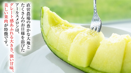 【2026年8月下旬発送開始】 季節 限定 ！ 甘さ満点 アールス メロン 3玉 [BC044sa]