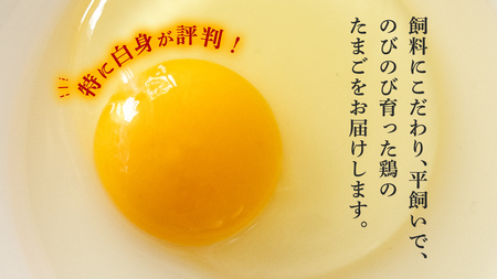 たまごかけご飯セット [BT002sa]