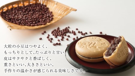 《 12/20入金分まで 年内 にお届け 》 桜川謡曲もなか10個入り  [AA003sa]