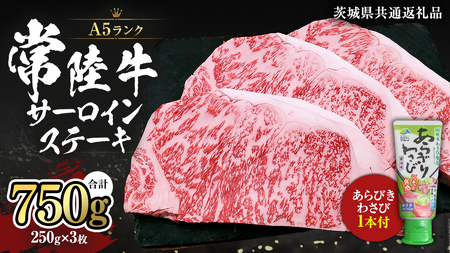 常陸牛 A5 等級 サーロイン ステーキ 250g × 3枚 ( 合計 750g ) あらびき わさび 1本付き ( 茨城県共通返礼品 )  [CD004sa]