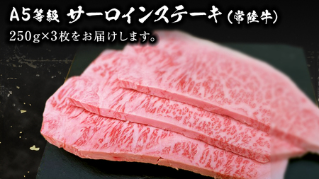 常陸牛 A5 等級 サーロイン ステーキ 250g × 3枚 ( 合計 750g ) あらびき わさび 1本付き ( 茨城県共通返礼品 )  [CD004sa]