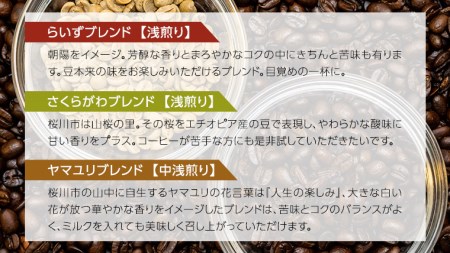 らいず珈琲 オリジナルブレンド ３種（各100g）【粉】  [CK003sa]