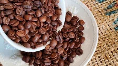 らいず珈琲 オリジナルブレンド ３種（各100g）【粉】  [CK003sa]