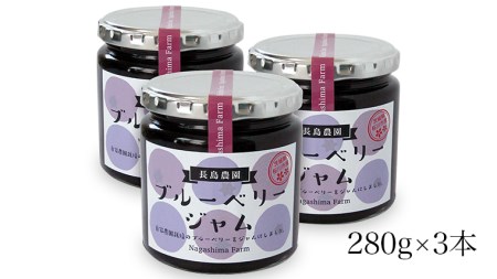 ブルーベリージャム 3本 [AK006sa]