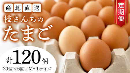 6ヶ月定期便】枝さんち の たまご 20個×6回 合計120個 定期便 産地直送