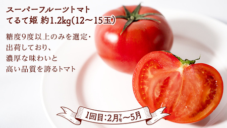 【 定期便 】【 2025年2月下旬から発送開始 全4回 】 数量限定 贅沢 フルーツ 満喫コース 旬の果実 旬のフルーツ くだもの 果実 トマト フルーツトマト スイカ いちご メロン 特選 贅沢 厳選 定期便 [BC056sa]