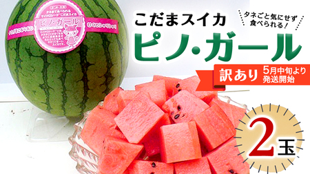 【 訳あり 】【 5月中旬より発送開始 】 感動必至！ タネが気にならない こだまスイカ ピノ・ガール （ ２玉 ） すいか スイカ 西瓜 旬 旬の果実 旬のフルーツ くだもの 果実 フルーツ 夏 [BC059sa]