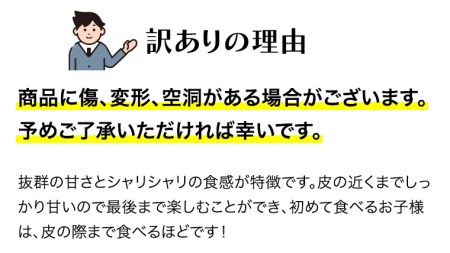 【 訳あり 】【5月中旬より発送開始】 際まで甘い こだまスイカ 愛娘 （ １玉 ） スイカ 西瓜 旬 旬の果実 旬のフルーツ くだもの 果実 フルーツ 夏 [BC060sa]