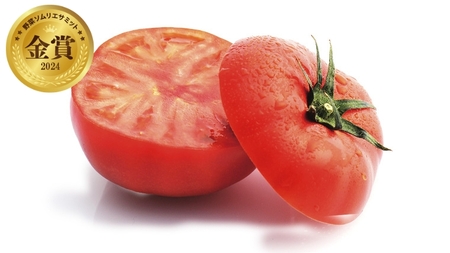 【2024年2月上旬発送開始】スーパーフルーツトマト 中箱 約1.2kg（12~18玉）糖度9度以上 ＆ 新鮮 きゅうり 約20本 野菜セット とまと トマト 胡瓜 キュウリ 野菜 サラダ [BC063sa]
