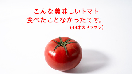 【母の日 メッセージカード付】≪5月6日～12日お届け≫スーパーフルーツトマト 小箱 約800g×1箱 糖度9度以上 トマト とまと 野菜[BC069sa]