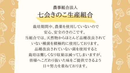 きのこ の 詰め合わせ Mサイズ 約1500g【茨城県共通返礼品 城里町】 キノコ 舞茸 あわび茸 たもぎ茸 しいたけ 花びら茸 [CX002sa]