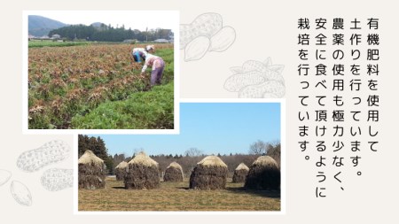 訳あり はねだし落花生 250g × 4袋 国産 らっかせい ナッツ 茨城県産 [BB008sa]