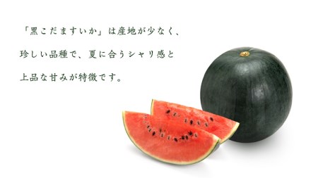 黒こだま すいか 4～5玉 《2026年7月上旬から発送開始》 [BQ001sa］