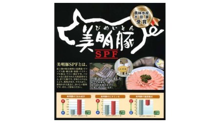 美明豚 挽肉 3kg【茨城県共通返礼品 行方市】 豚肉 国産 銘柄 グルメ