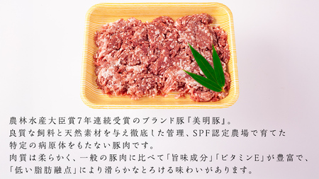 美明豚 挽肉 3kg【茨城県共通返礼品 行方市】  [CV002sa]