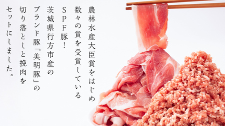 美明豚 切り落とし 1kg & 挽肉 1kg　計 2㎏【茨城県共通返礼品 行方市】 [CV003sa]