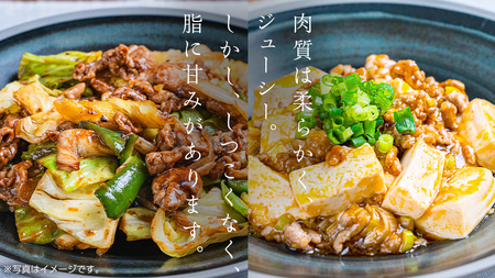 美明豚 切り落とし 1kg & 挽肉 1kg　計 2㎏【茨城県共通返礼品 行方市】 [CV003sa]