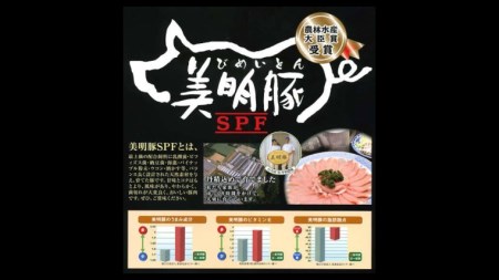 美明豚 スペアリブのグリル焼き1kg【茨城県共通返礼品 行方市】  [CV008sa]