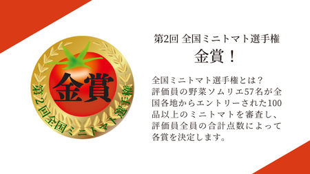 【 2025年収穫分 先行予約 】スーパーフルーツ ミニトマト 約1kg 2025年2月上旬発送開始 ミニトマト フルーツトマト ブランドトマト トマト とまと 野菜 [BC070sa]