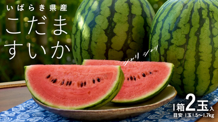 こだますいか 2玉 《2026年5月中旬から発送開始》 [BQ016sa]