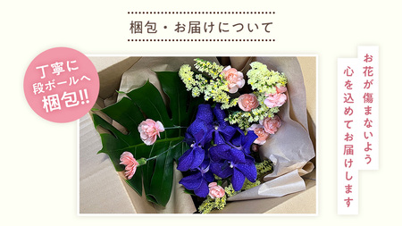 【お花の 定期便 】「毎月」届く、季節の フラワー アレンジメント ( 合計 12回 )  [CY005sa]