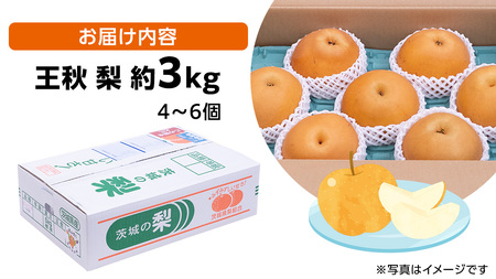 王秋梨 約3kg 4玉～6玉 (茨城県共通返礼品:城里町) 2026年 [CO009sa]