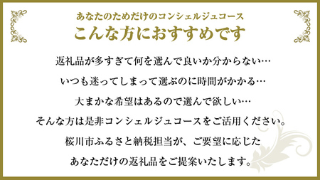 【 茨城県桜川市 コンシェルジュ】 返礼品おまかせ！寄附額 200万円  [BR017sa]