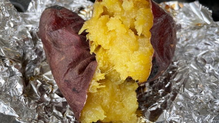 2025年度産 紅はるか 約10kg 【茨城県共通返礼品／行方市】  [DT002sa]