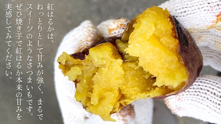 2025年度産 紅はるか 約10kg 【茨城県共通返礼品／行方市】  [DT002sa]