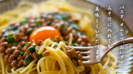 干納豆 詰め合わせ 大満足 セット 【茨城県共通返礼品／八千代町】 [DW003sa]