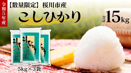 令和5年度産 】数量限定 桜川市産 こしひかり 15kg（5kg×3袋） 茨城県