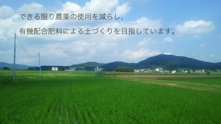 3ヶ月定期便》 【生産者支援】《令和5年産》新米 茨城県桜川市産