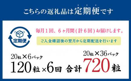 【6ヶ月定期便】あらびき いわし つみれ 合計10.8kg (15g×20粒×6パック)×6回 鰯 イワシ